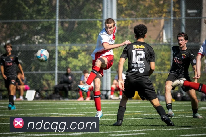 开云手机在线登陆入口品牌故事